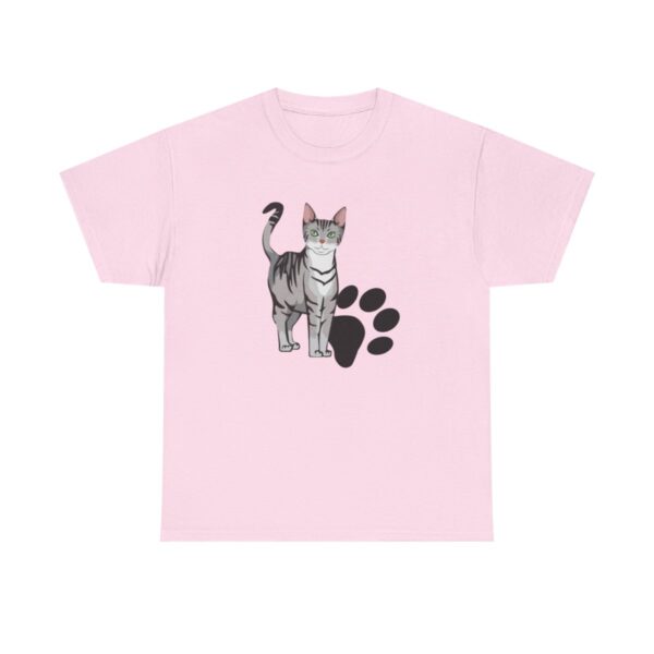 American Shorthair - Bild 82
